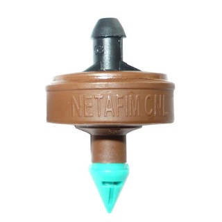 copy of 